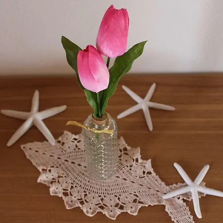 Sasa Appartement Rovinj