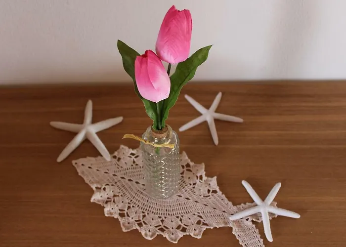 Sasa Lejlighed Rovinj